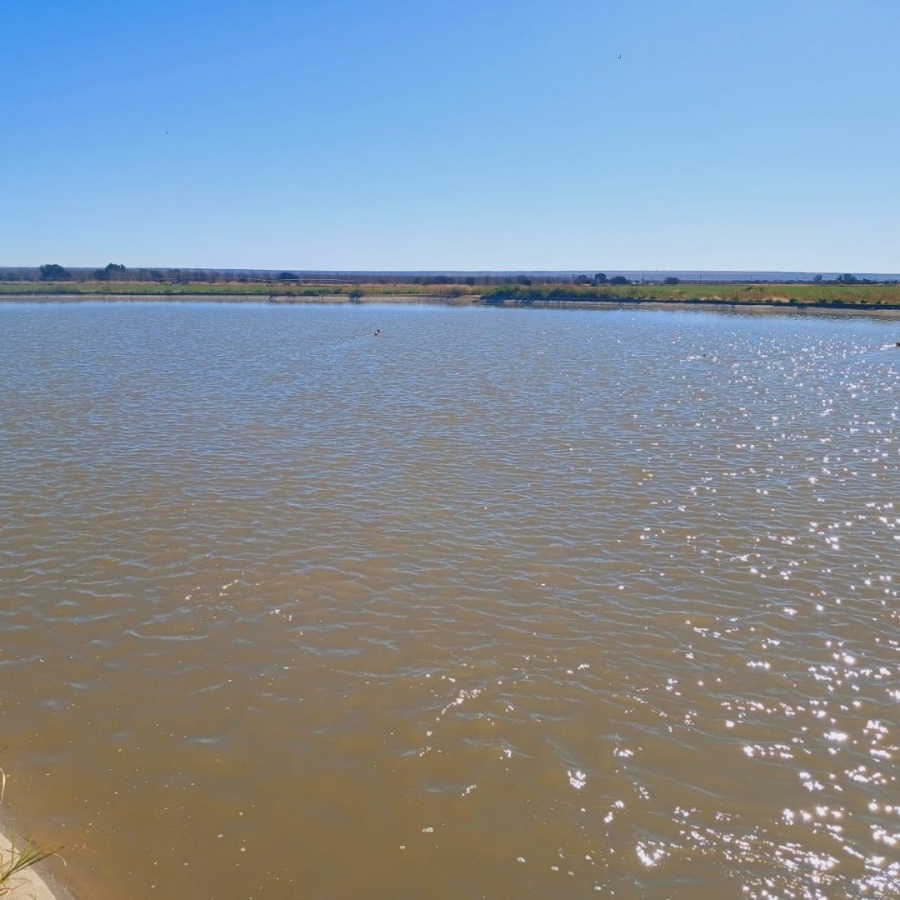  Bedroom Property for Sale in Hartswater Rural Northern Cape